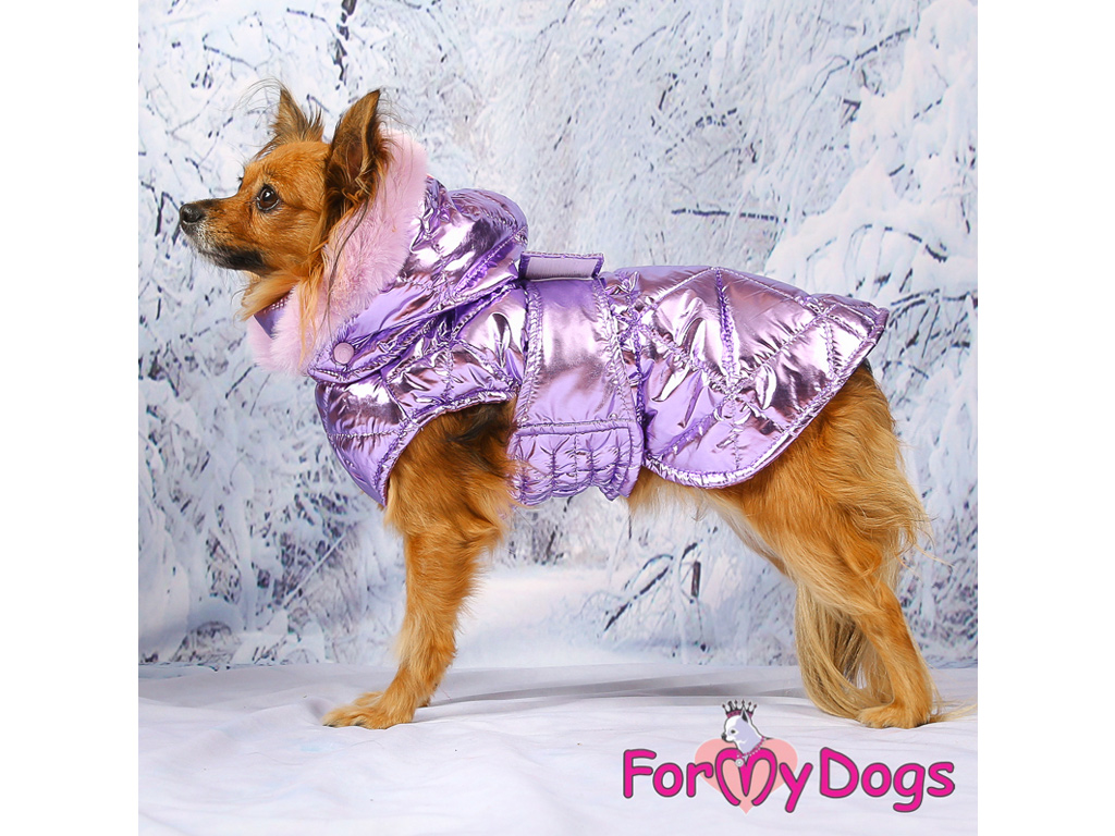 My dogs 3. Попона FORMYDOGS фиолетовая. Попона for my Dogs. Попона, жакет for my Dogs попона для собак серебро fw1133-2021 (b2). Попона FORMYDOGS на меху.
