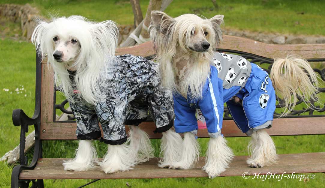 Dva čínští chocholatí psi v pláštěnkách FMD